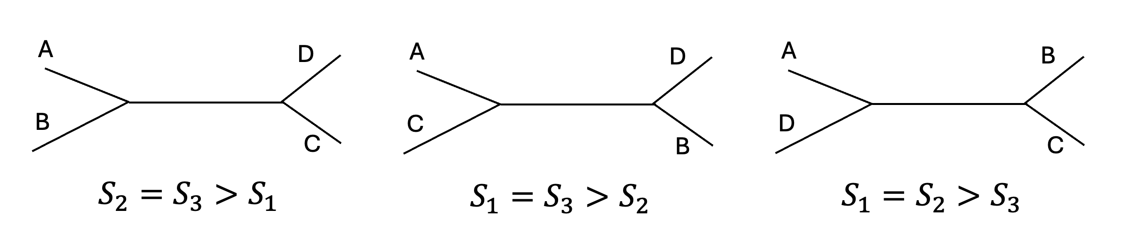 Sizes of model trees